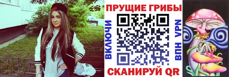 Псилоцибиновые грибы Psilocybe  Купить где  Инта 